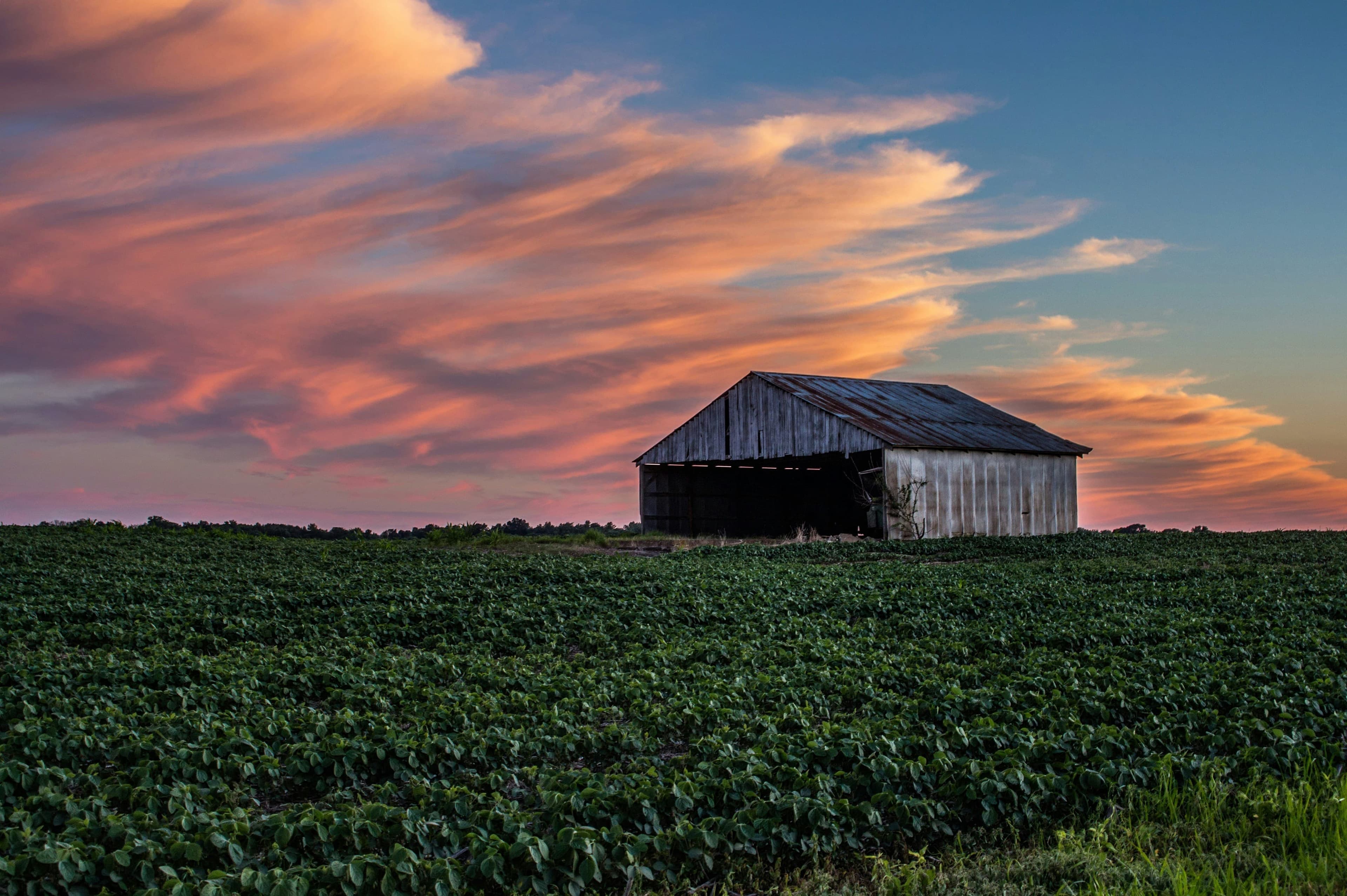 Image for Whiting, Indiana