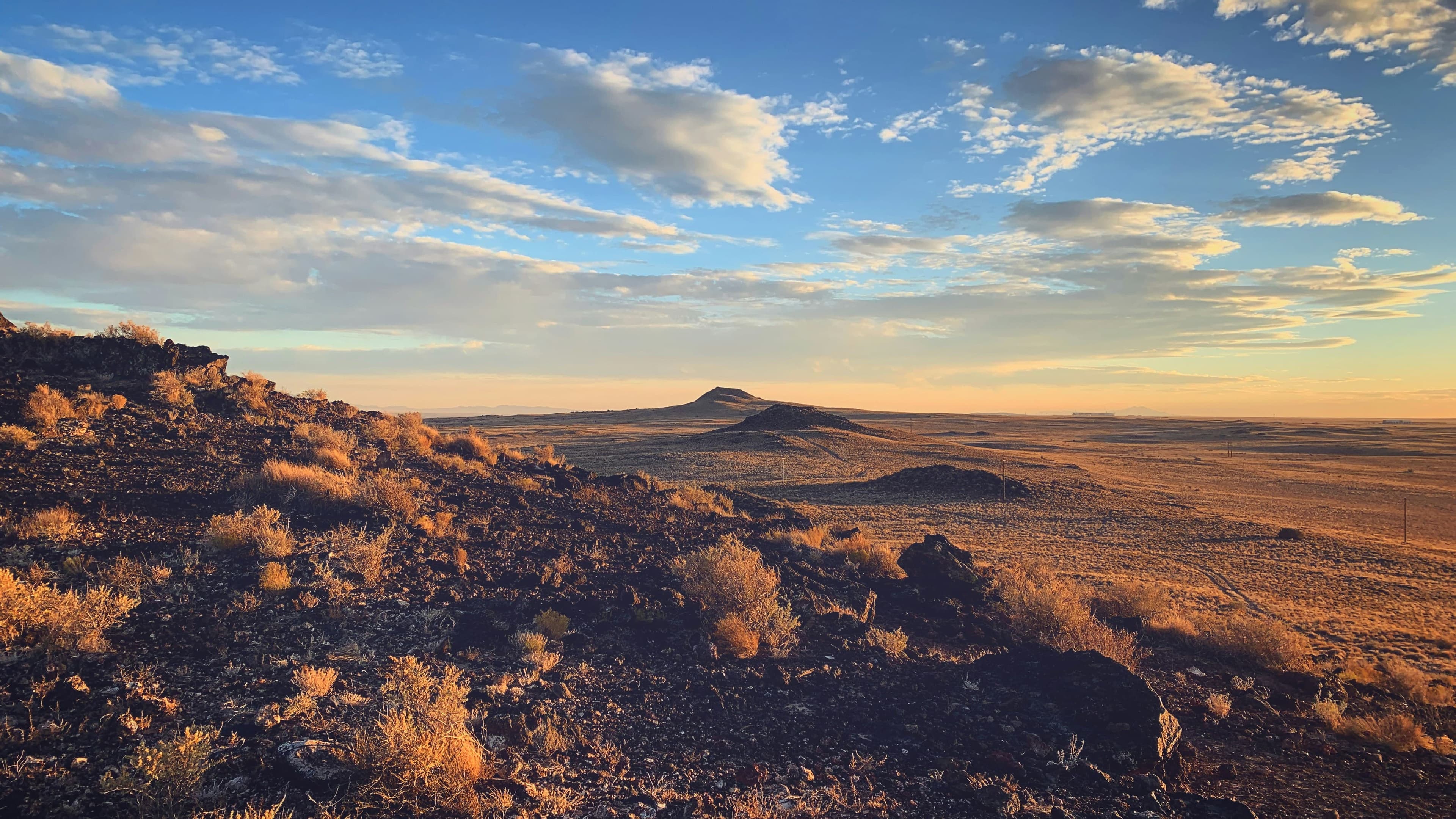 Image for Melrose, New Mexico
