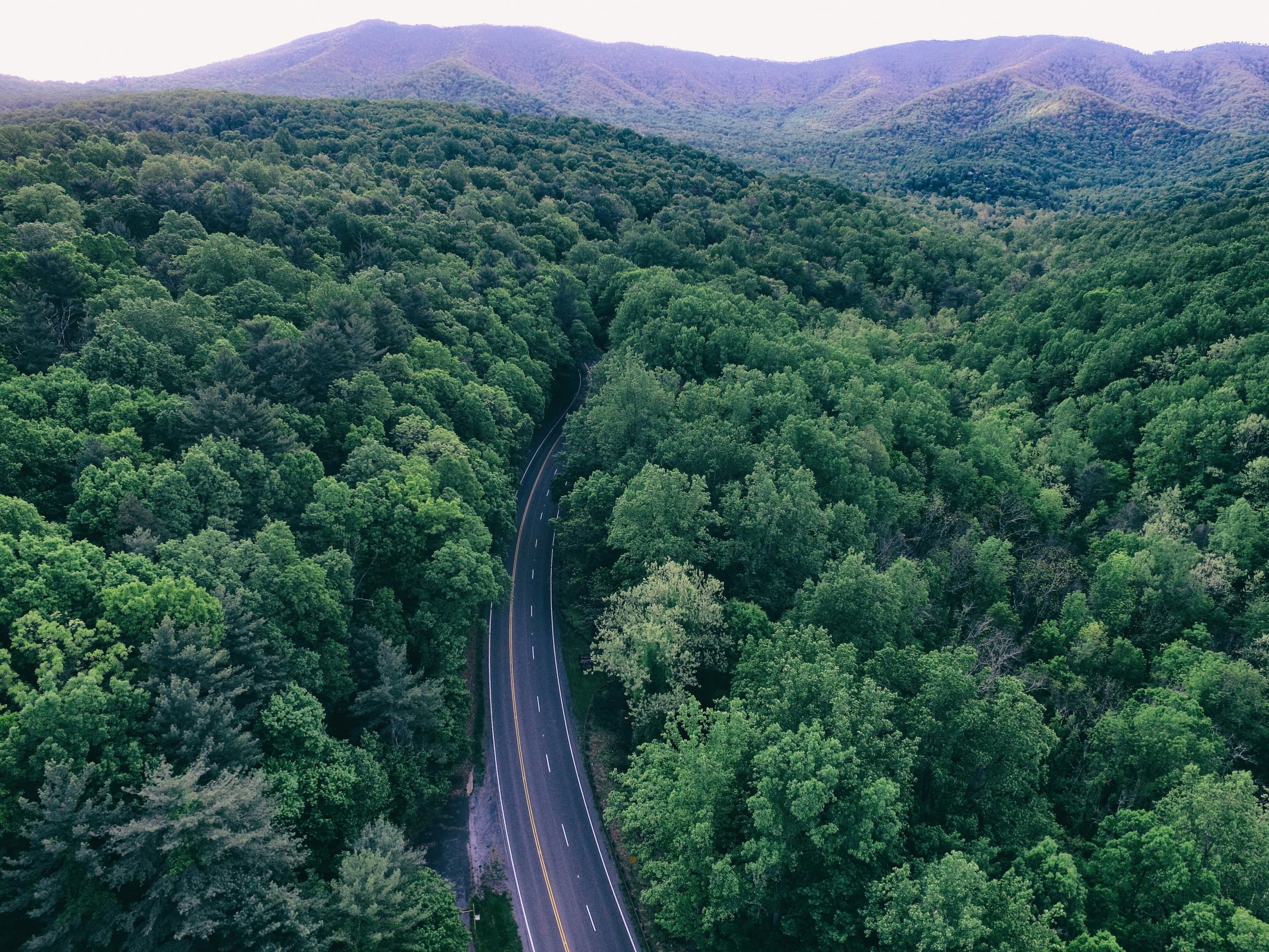 Image for Saxis, Virginia