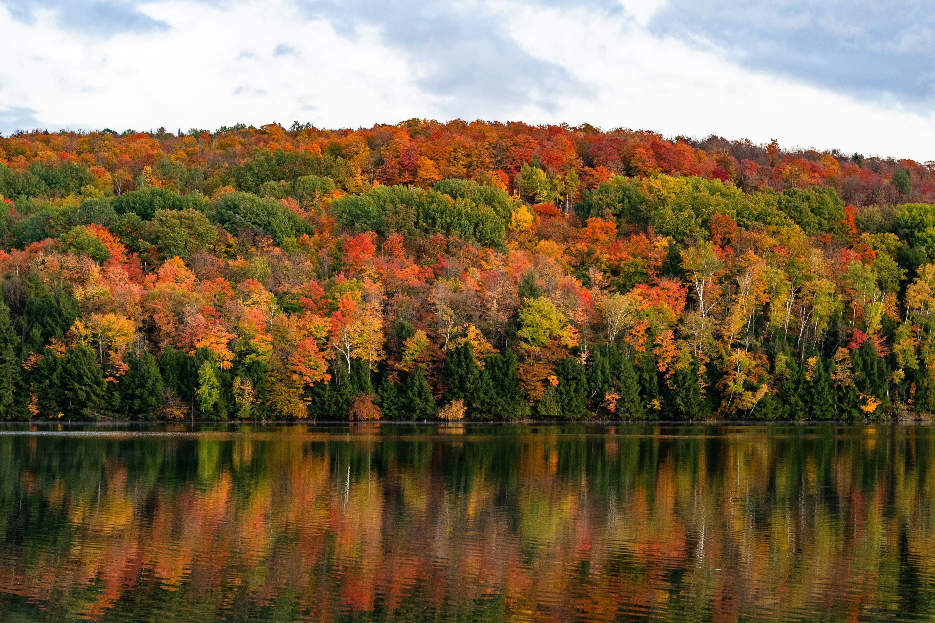 Image for Chester, Vermont