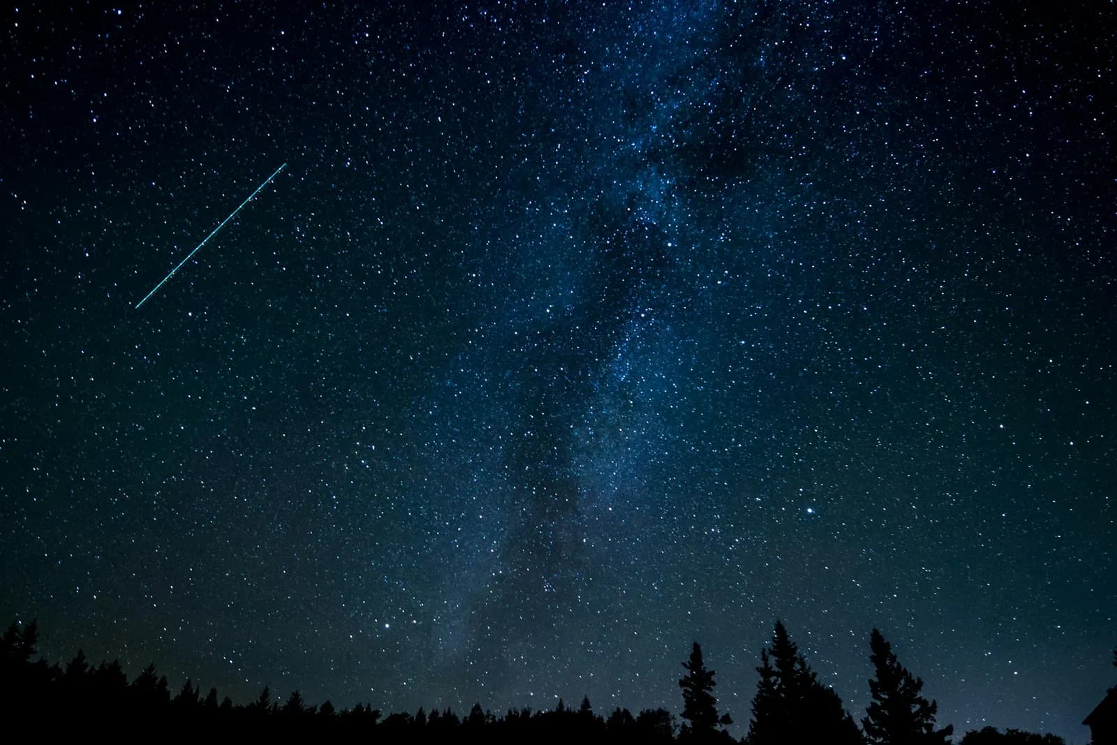 A satellite streaks across a star-filled night sky above a pine treeline